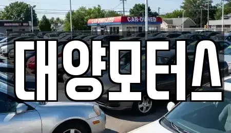 광주 광산구 월계동 중고차매매 전문 대양모터스