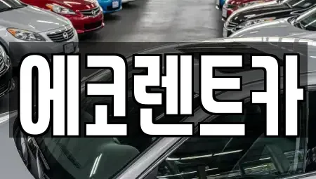 광주 남구 대지동 렌트카 전문 에코렌트카