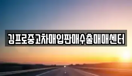 광주 동구 대인동 중고차매입 전문 김프로중고차매입판매수출매매센터