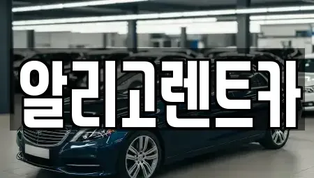 광주 서구 금호동 단기렌트카 전문 알리고렌트카