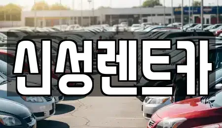 광주 서구 금호동 렌트카 전문 신성렌트카