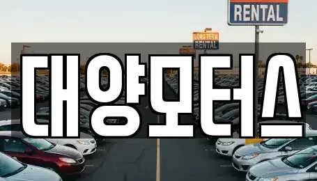 광주 서구 금호동 중고차 전문 대양모터스