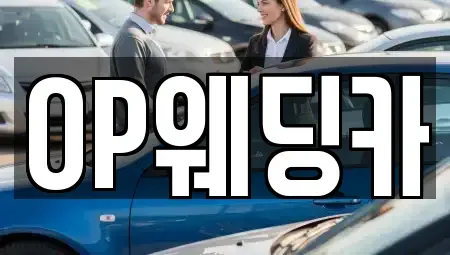 광주광역시 광산구 도천동 렌트카 전문 OP웨딩카