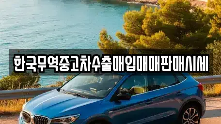 광주광역시 광산구 도천동 중고차매매 전문 한국무역중고차수출매입매매판매시세