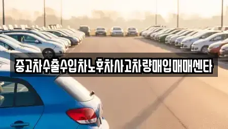 광주광역시 광산구 도호동 중고차 전문 중고차수출수입차노후차사고차량매입매매센타