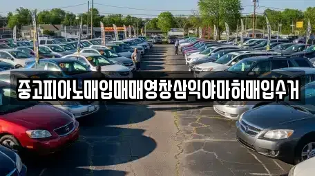 대구 수성구 지산동 중고차매입 전문 중고피아노매입매매영창삼익야마하매입수거