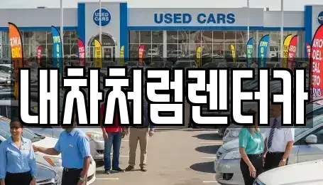 대구 중구 봉산동 렌트카 전문 내차처럼렌터카