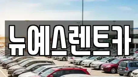 대구 중구 봉산동 렌트카,단기렌트카,장기렌트카,중고차,중고차매매,중고차매입