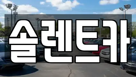 대구광역시 동구 신암동 장기렌트카 전문 솔렌트카