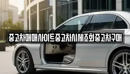 대구광역시 동구 신암동 중고차매매 전문 중고차매매사이트중고차시세조회중고차구매