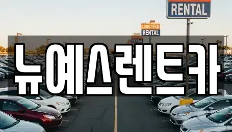 대구광역시 수성구 만촌동 렌트카 전문 뉴예스렌트카