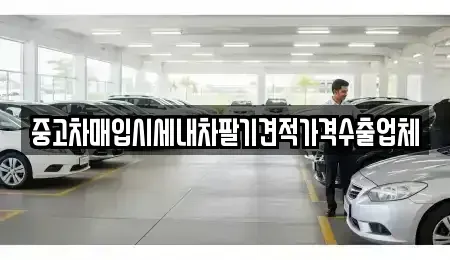 대구광역시 수성구 만촌동 중고차 전문 중고차매입시세내차팔기견적가격수출업체