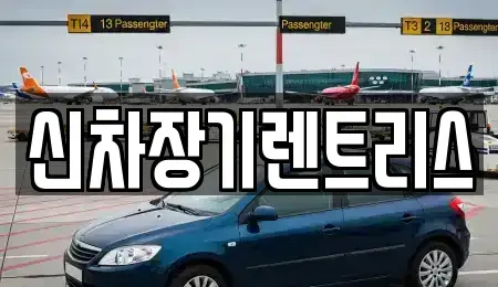 대구광역시 중구 달성동 렌트카 전문 신차장기렌트리스