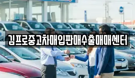 대구광역시 중구 달성동 중고차 전문 김프로중고차매입판매수출매매센터