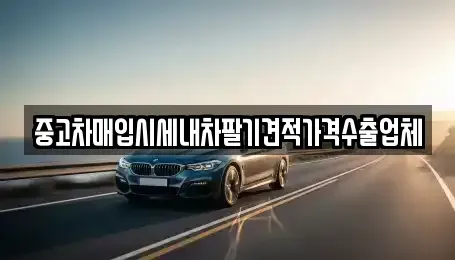 대구광역시 중구 달성동 중고차 전문 중고차매입시세내차팔기견적가격수출업체