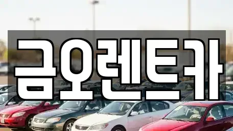 대구광역시 중구 서성로1가 단기렌트카 전문 금오렌트카