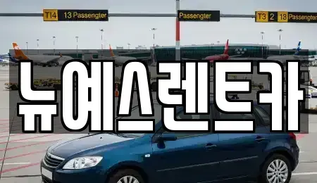 대구광역시 중구 서성로1가 렌트카 전문 뉴예스렌트카