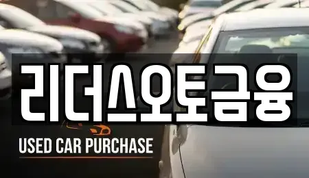 대구광역시 중구 서성로1가 장기렌트카 전문 리더스오토금융