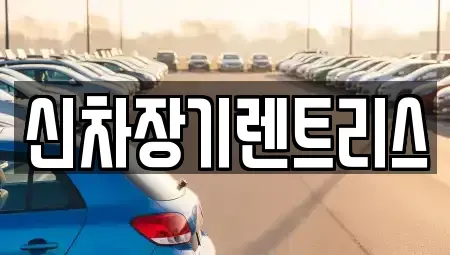 대구광역시 중구 서성로1가 장기렌트카 전문 신차장기렌트리스
