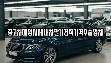 대구광역시 중구 서성로1가 중고차매매 전문 중고차매입시세내차팔기견적가격수출업체