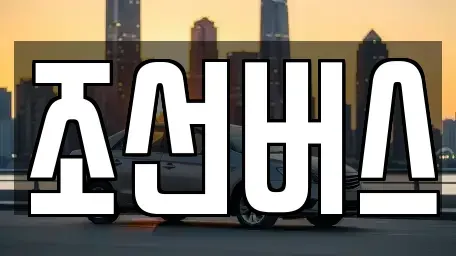 대전 서구 우명동 중고차 전문 조선버스