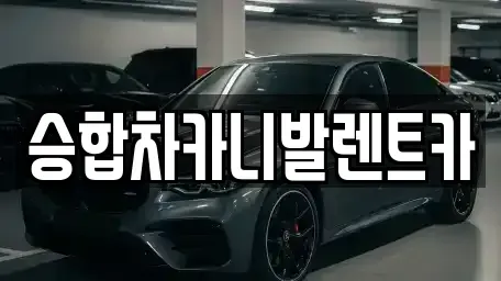 대전 유성구 상대동 렌트카 전문 승합차카니발렌트카