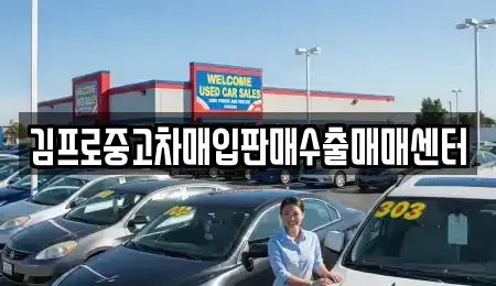 대전 중구 무수동 단기렌트카,중고차매입,중고차매매,중고차,렌트카,장기렌트카