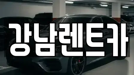 대전광역시 대덕구 송촌동 렌트카 전문 강남렌트카