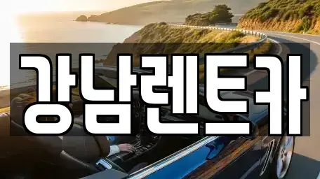 대전광역시 서구 만년동 렌트카 전문 강남렌트카