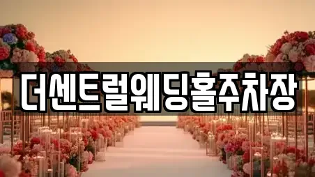 더센트럴웨딩홀주차장