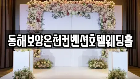 동해시 만우동 스드메 상담안내 1