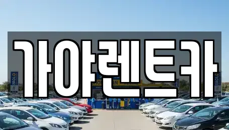 부산 강서구 봉림동 렌트카 전문 가야렌트카