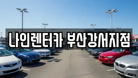 부산 강서구 봉림동 렌트카 전문 나인렌터카 부산강서지점