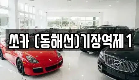 부산 기장군 기장읍 렌트카 전문 쏘카 (동해선)기장역제1
