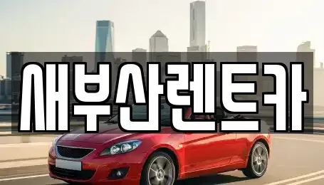 부산 서구 부민동2가 렌트카 전문 새부산렌트카