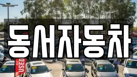 부산 중구 대청동1가 중고차매매 전문 동서자동차