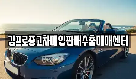 부산 중구 대청동1가 중고차매입 전문 김프로중고차매입판매수출매매센터