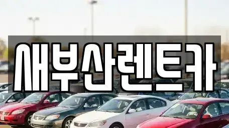 부산광역시 동래구 사직동 렌트카 전문 새부산렌트카