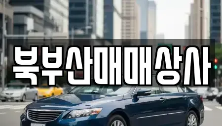 부산광역시 동래구 사직동 중고차 전문 북부산매매상사