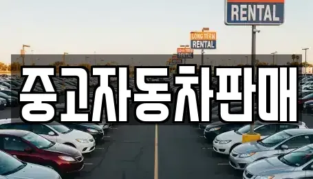 부산광역시 동래구 사직동 중고차 전문 중고자동차판매