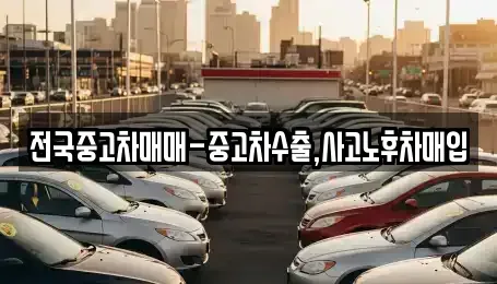 부산광역시 동래구 사직동 중고차매입 전문 전국중고차매매-중고차수출,사고노후차매입