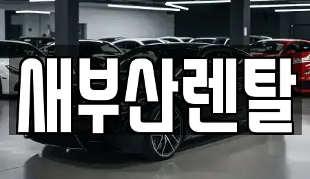 부산광역시 부산진구 초읍동 렌트카 전문 새부산렌탈