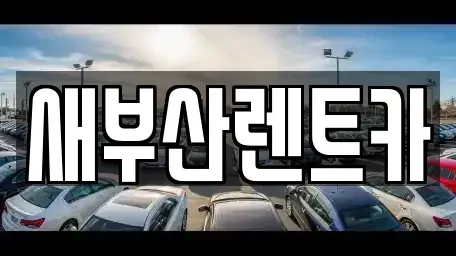 부산광역시 부산진구 초읍동 렌트카 전문 새부산렌트카