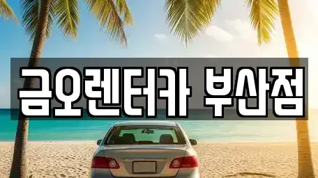 부산광역시 부산진구 초읍동 장기렌트카 전문 금오렌터카 부산점