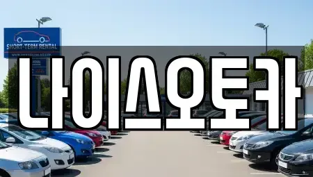 부산광역시 부산진구 초읍동 장기렌트카 전문 나이스오토카