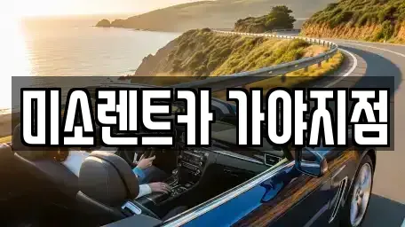 부산광역시 서구 서대신동3가 렌트카 전문 미소렌트카 가야지점