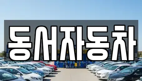 부산광역시 서구 서대신동3가 중고차 전문 동서자동차