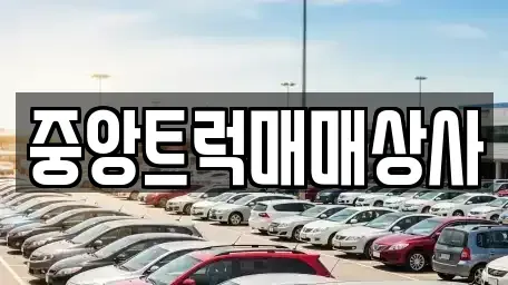 부산광역시 서구 서대신동3가 중고차 전문 중앙트럭매매상사