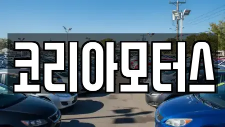 부산광역시 서구 서대신동3가 중고차 전문 코리아모터스