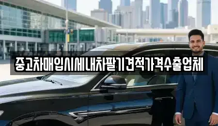 부산광역시 서구 서대신동3가 중고차매입 전문 중고차매입시세내차팔기견적가격수출업체